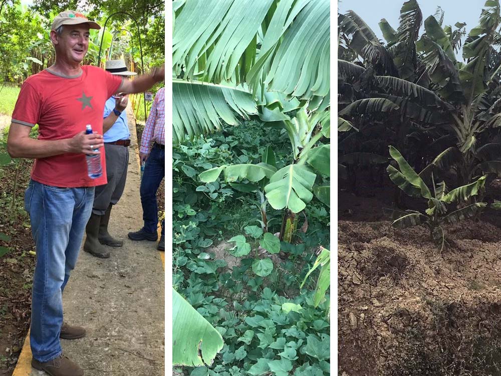 Volker Schmidt, Agraringenieur in der Dominikanischen Republik