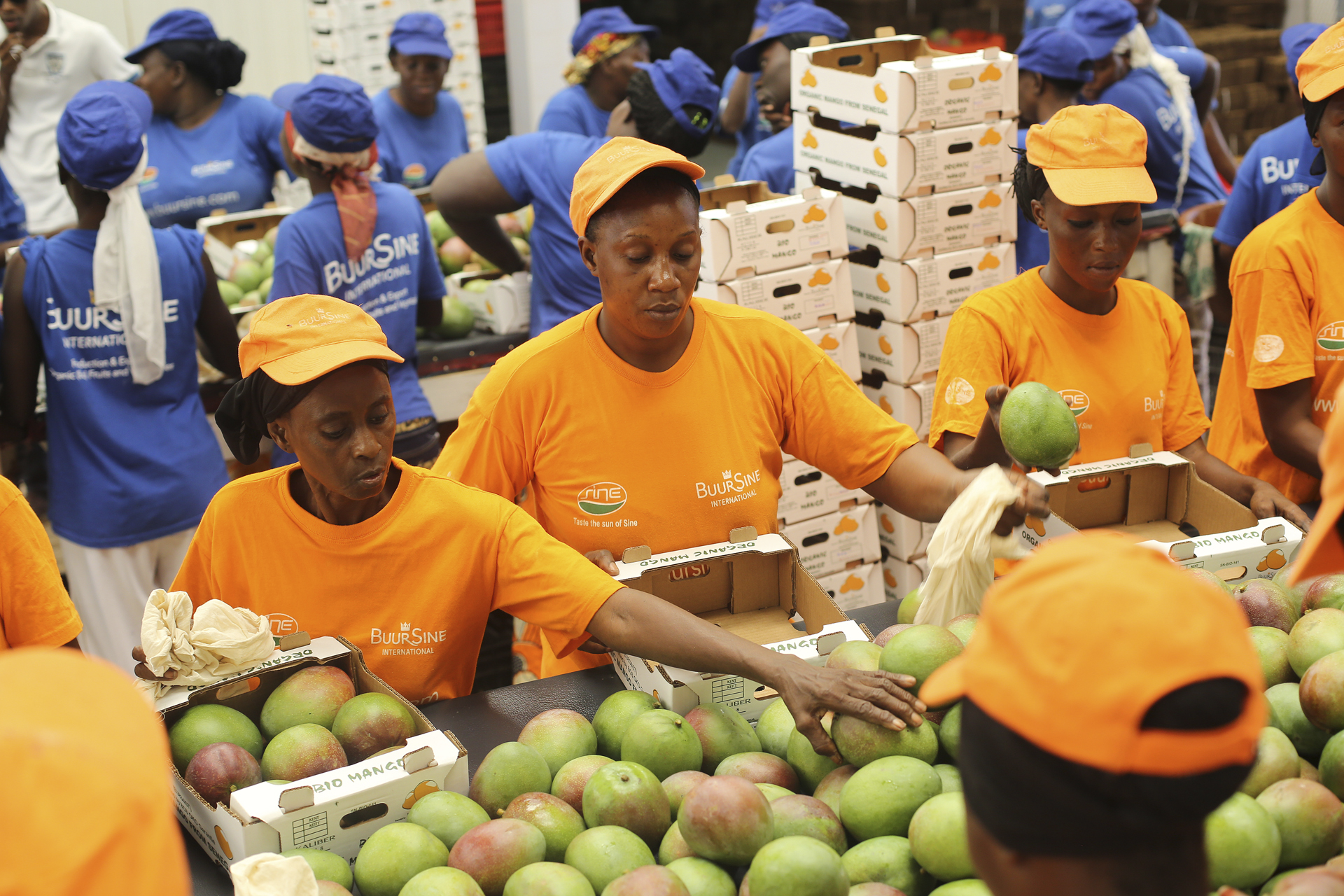 Nos fruits séchés produits au Burkina Faso